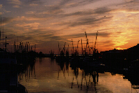 Shrimp Boats on Shem Creek, Image No. A010